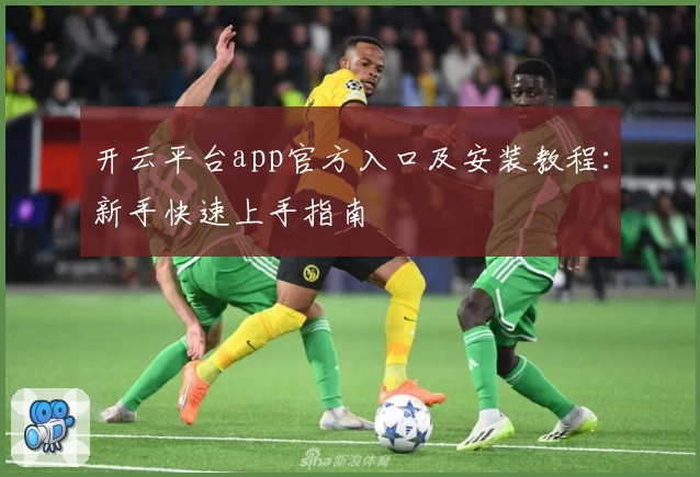 开云平台app官方入口及安装教程：新手快速上手指南