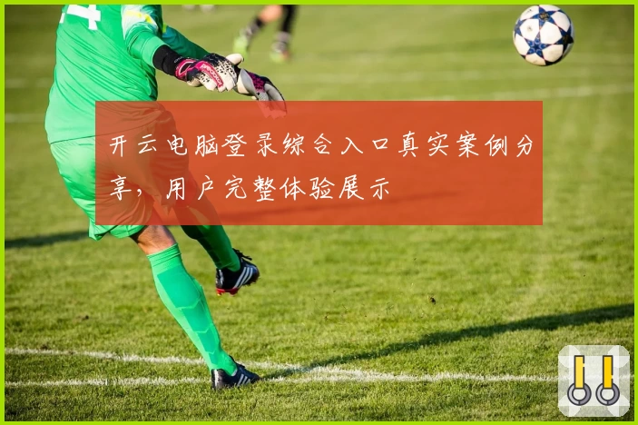 开云电脑登录综合入口真实案例分享，用户完整体验展示