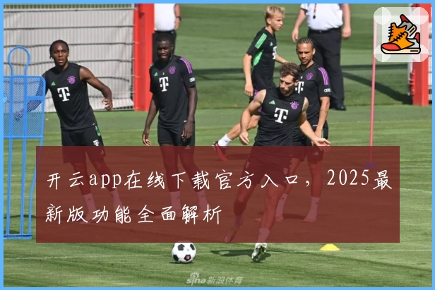 开云app在线下载官方入口，2025最新版功能全面解析