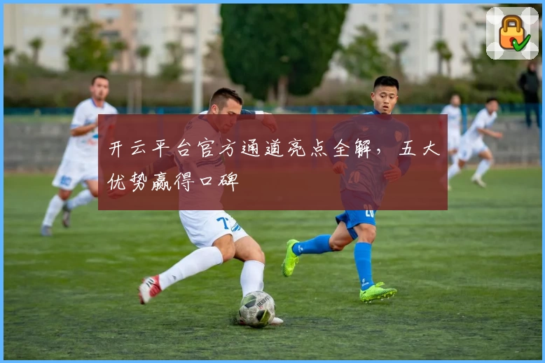 开云平台官方通道亮点全解，五大优势赢得口碑